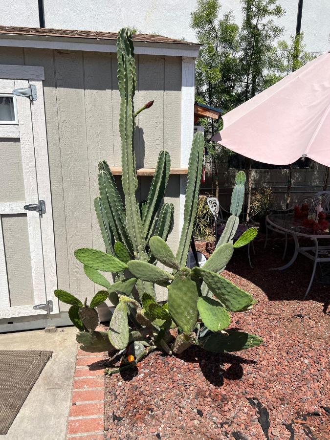 Private Los Angeles Room - Free Wifi, Ac, Tv, Private Fridge, Kitchen, Near Usc - Exposition Park - Usc Memorial Coliseum - Banc Of California Bmo Stadium - Downtown Los Angeles Dtla - University Of Southern California Usc!!! Ngoại thất bức ảnh